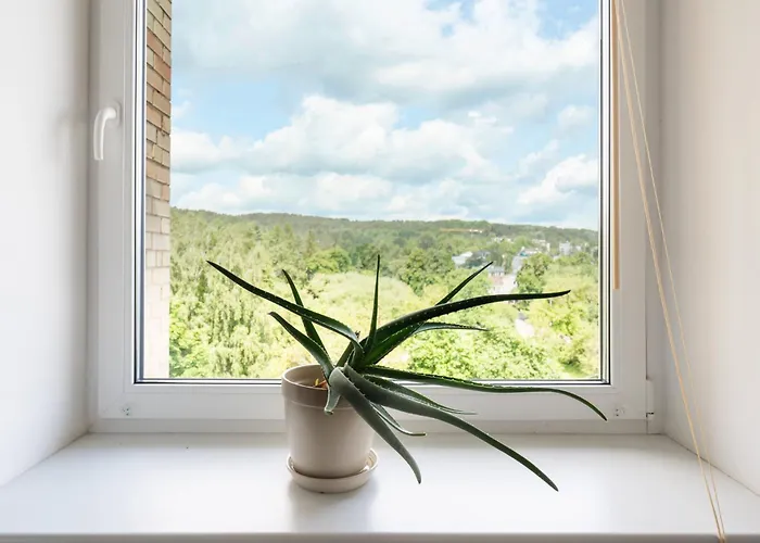 Ducks In The Yard - Self Check In Butas Vilnius