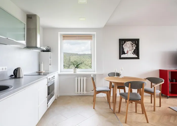 Ducks In The Yard - Self Check In 维尔纽斯