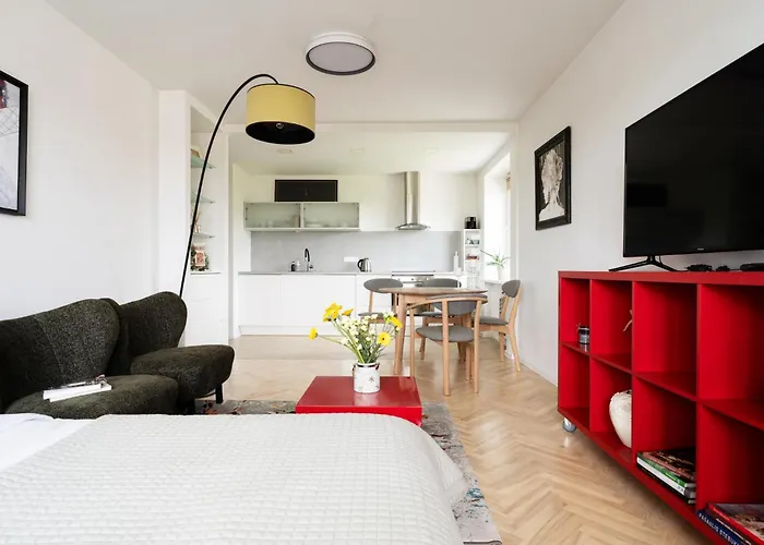 Ducks In The Yard - Self Check In * 维尔纽斯