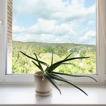 Ducks In The Yard - Self Check In Appartement Vilnius